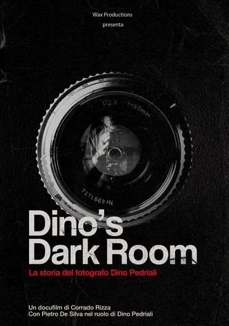 Dino's Dark Room