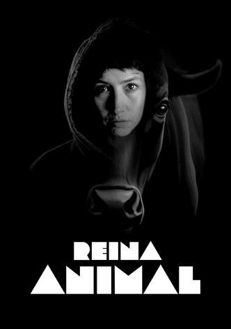 Reina Animal