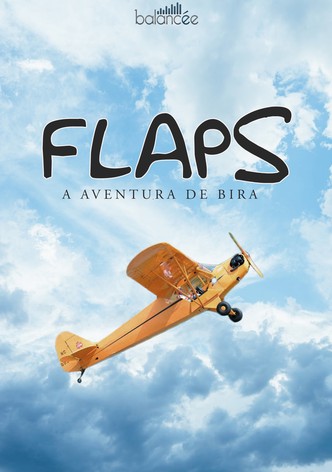 Flaps