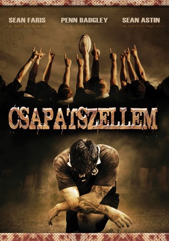 Csapatszellem