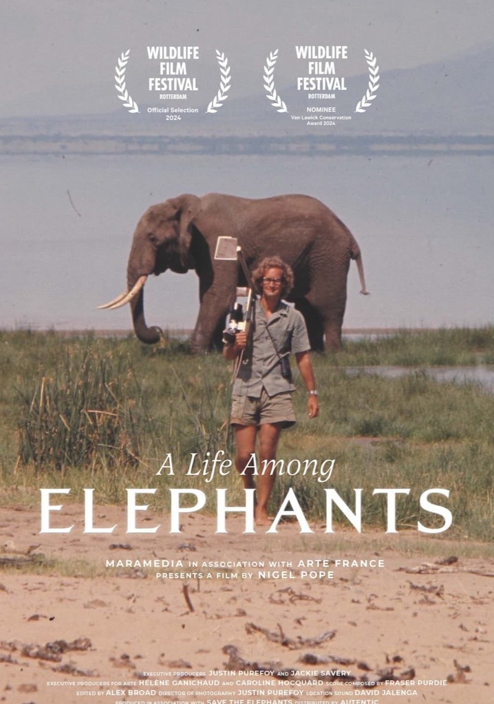 A Life Among Elephants