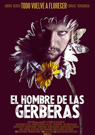 The Man of the Gerberas