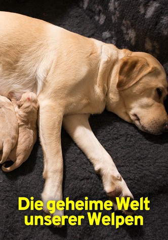 Die geheime Welt unserer Welpen