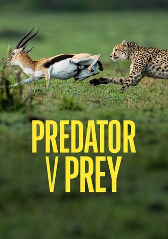 Predator v Prey