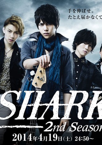 Shark