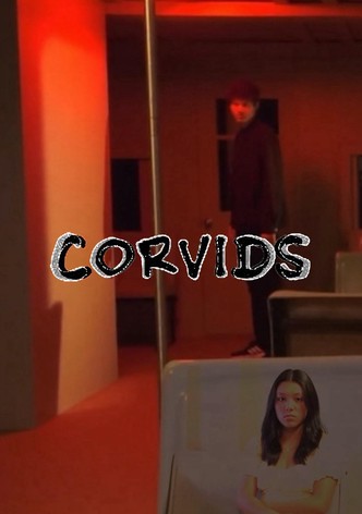 Corvids