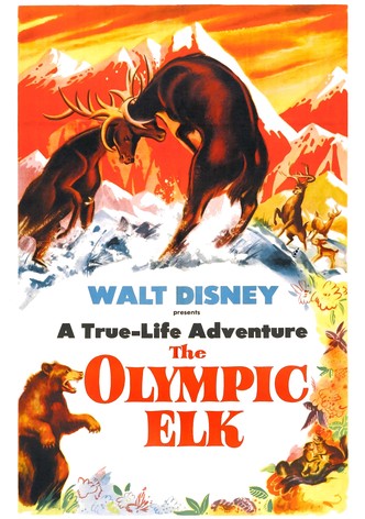 The Olympic Elk