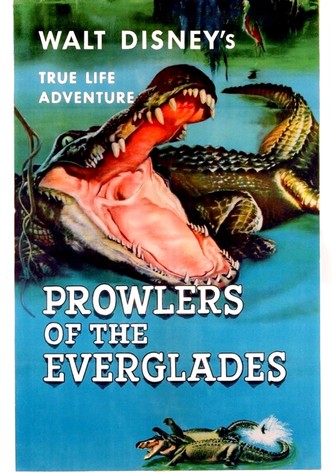 Prowlers of the Everglades