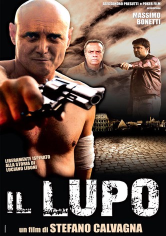Il Lupo