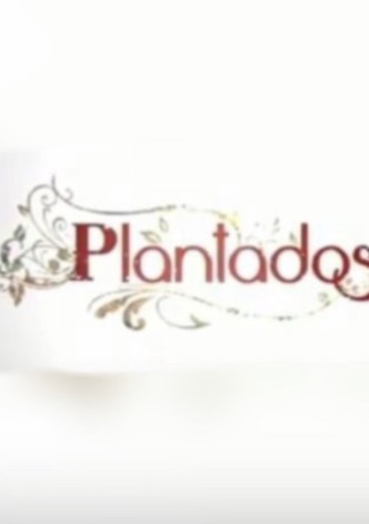Plantados