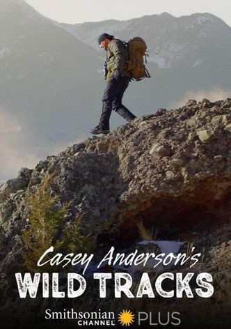 Planes, Cranes and Rockets