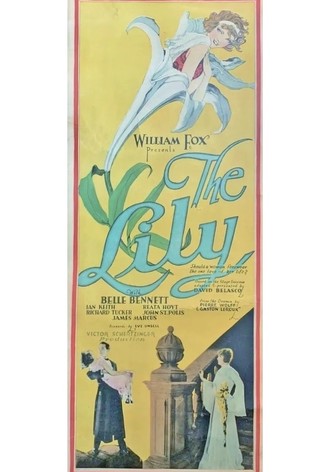 The Lily