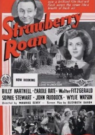 Strawberry Roan