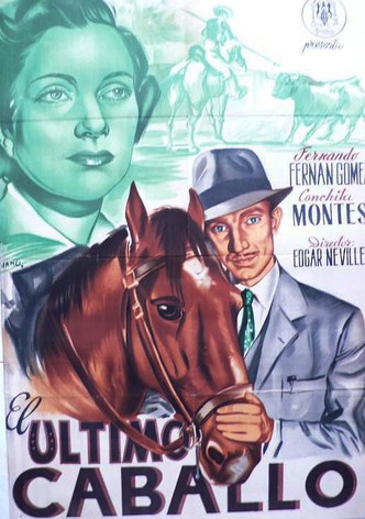 The Last Horse