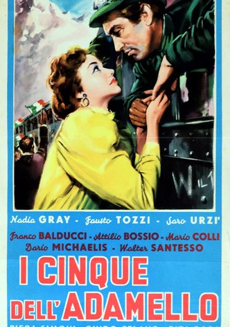 I cinque dell'Adamello