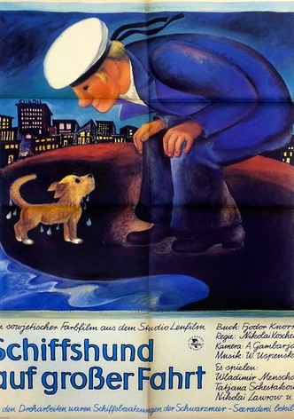 Salty Dog