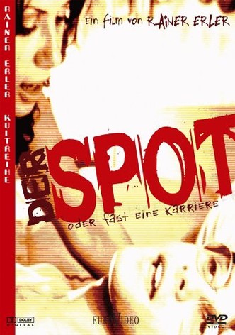 Der Spot oder Fast eine Karriere