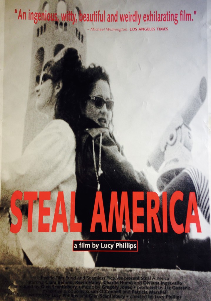 Steal America