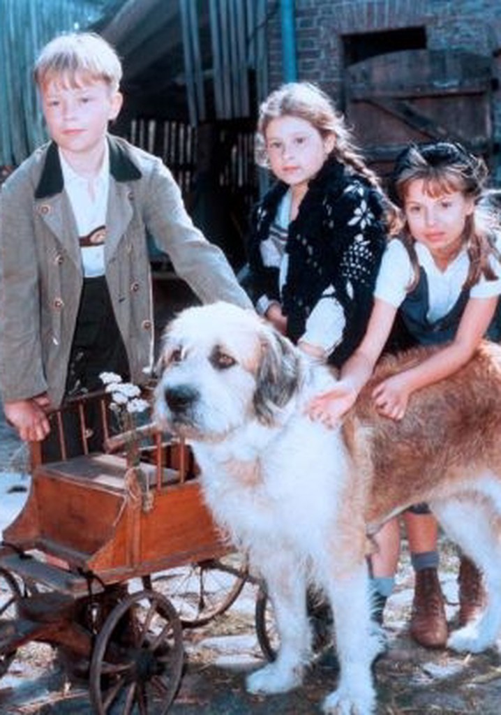 Ein Bernhardiner namens Möpschen