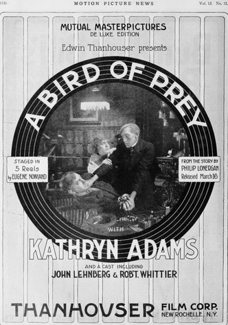 A Bird of Prey