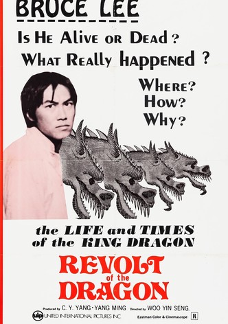Revolt of the Dragon