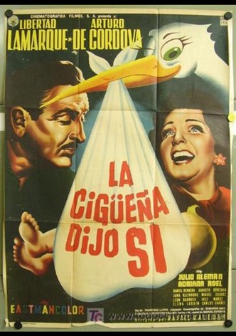 La cigüeña dijo sí