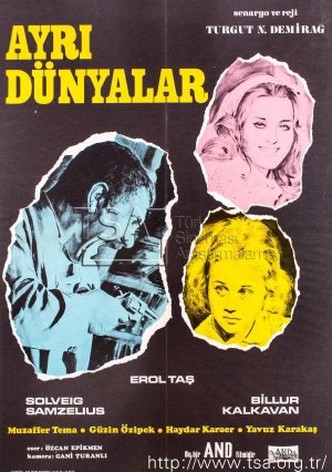 Ayri dünyalar