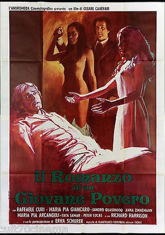 Il romanzo di un giovane povero