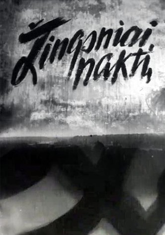 Zingsniai nakti