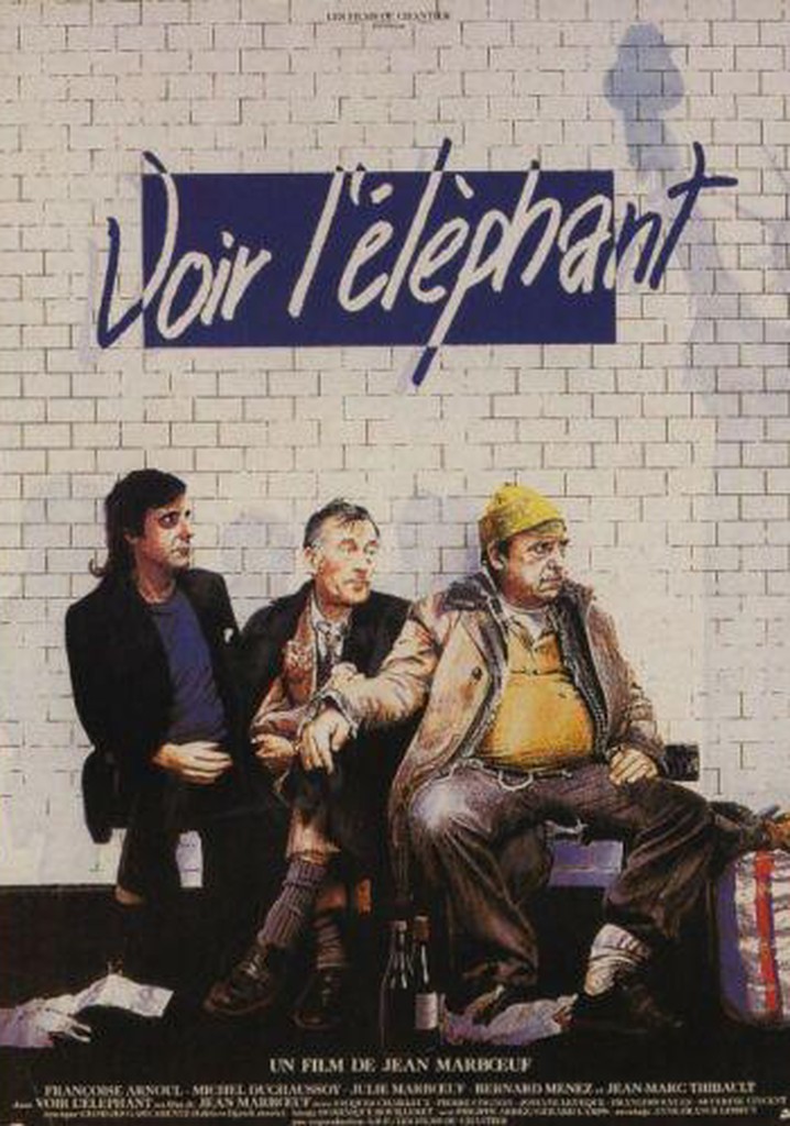 Voir l'éléphant