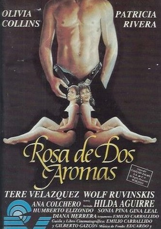 Rosa de dos aromas