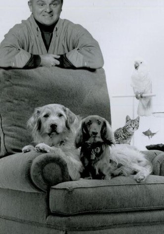 Pets: Part of the Family