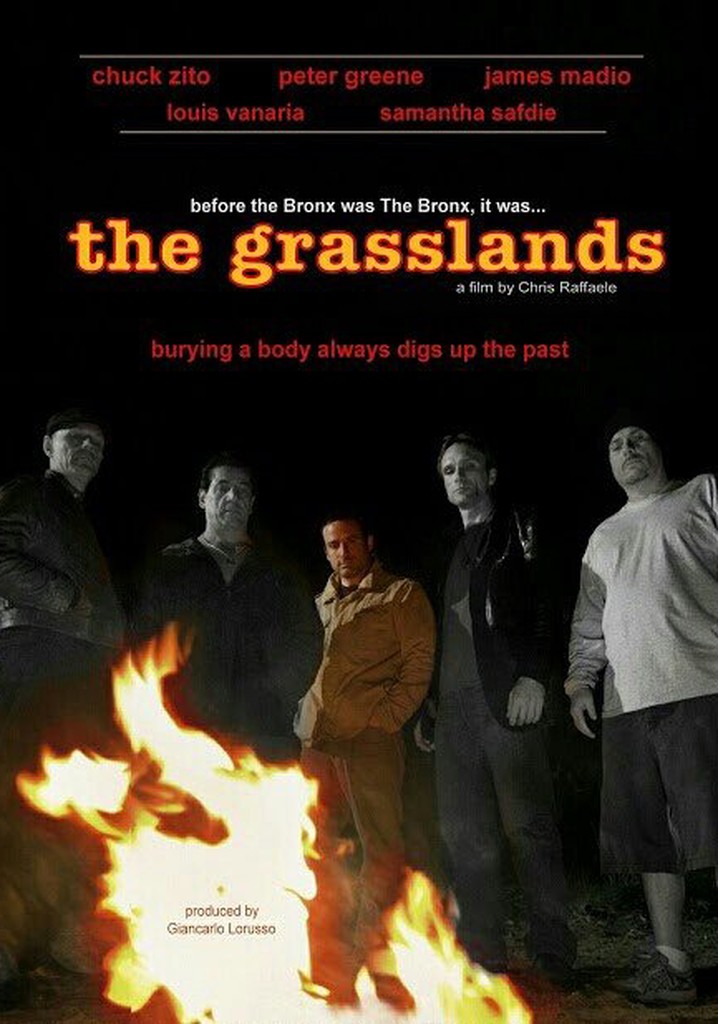 The Grasslands