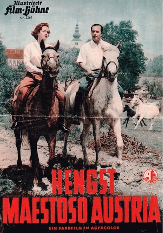 Hengst Maestoso Austria