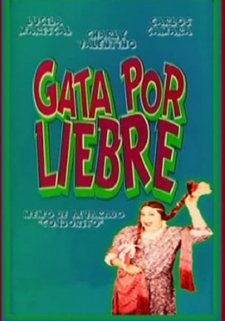 Gata por liebre