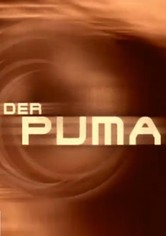 Der Puma - Kämpfer mit Herz