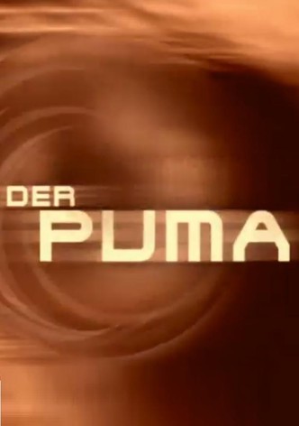 Der Puma - Kämpfer mit Herz