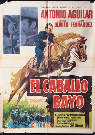 El caballo Bayo