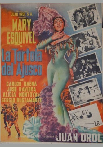 La tórtola del Ajusco