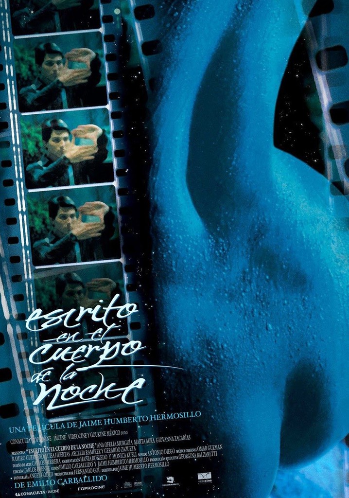 Written on the Body of Night