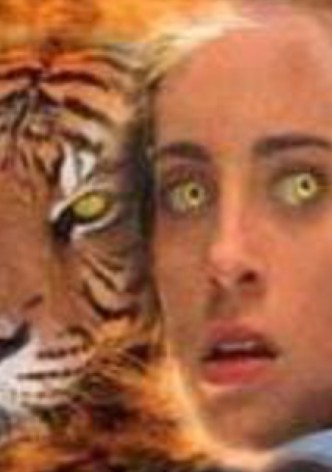 Wild Kat
