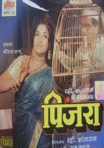 Pinjra poster