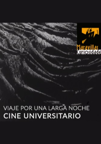 Viaje por una larga noche