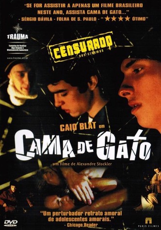 Cama de Gato