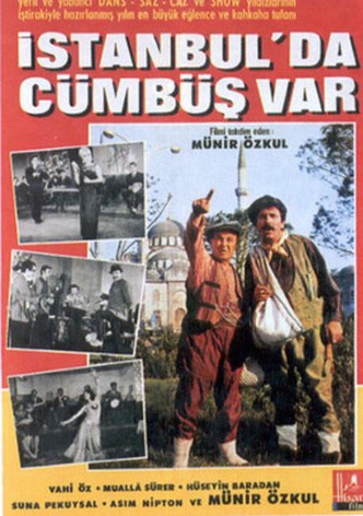 Istanbul'da cümbüs var