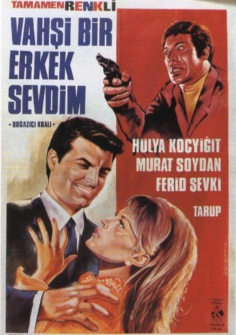 Vahşi Bir Erkek Sevdim