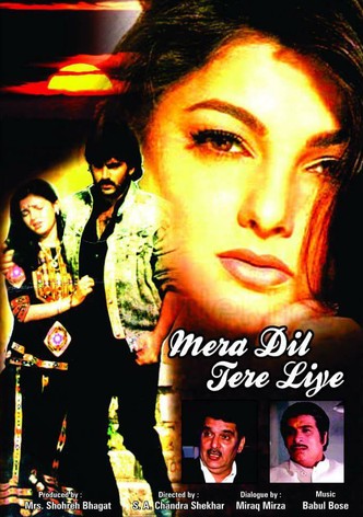 Mera Dil Tere Liye