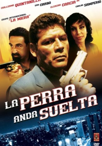 La perra anda suelta