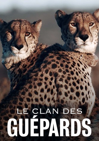 Le Clan des Guépards