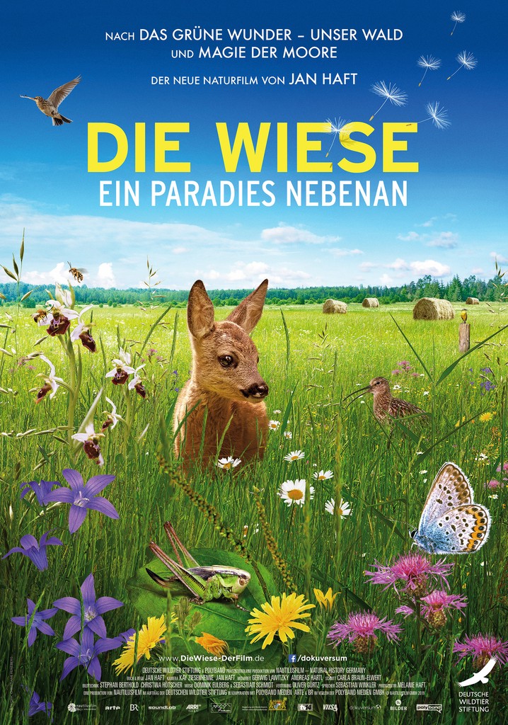 Die Wiese